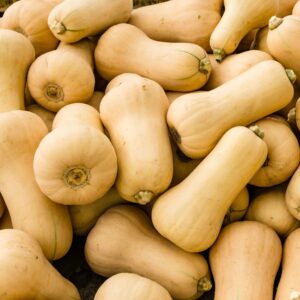 Butternut Squash
