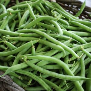 Green Beans