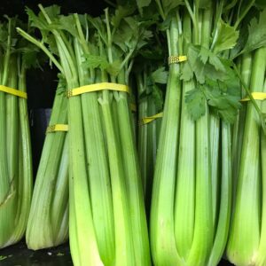 Celery