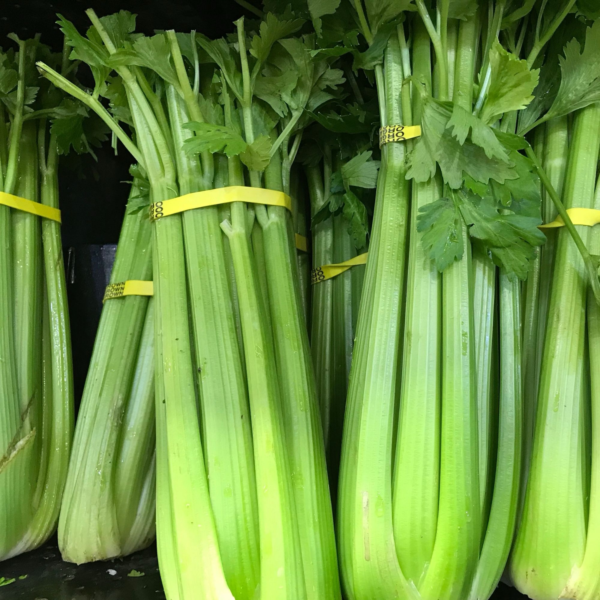 Celery