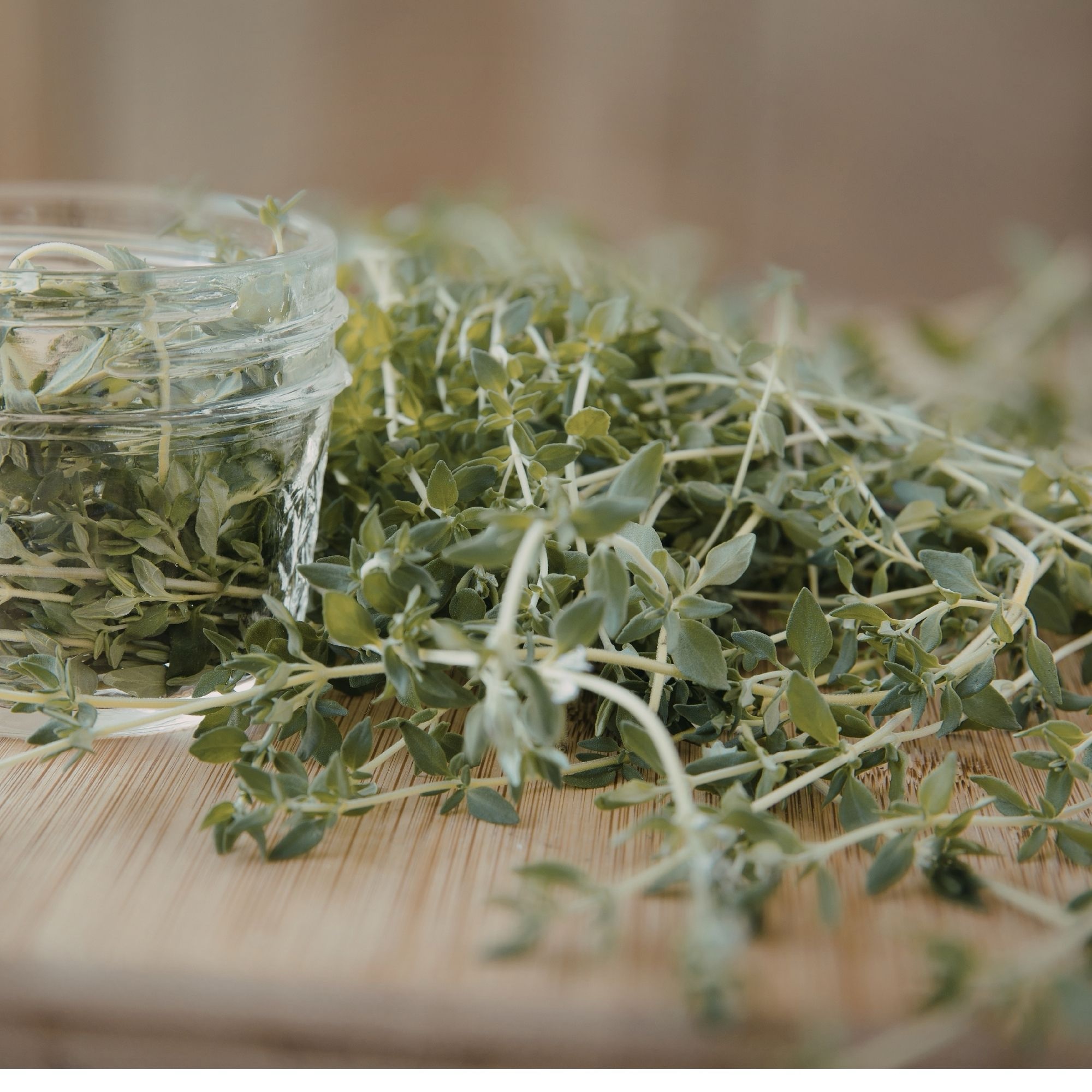 Fresh Thyme