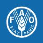 Food-and-Agriculture-Organization-of-the-United-Nations-FAO-ngo-charity.jpg